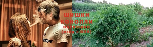 спиды Аркадак
