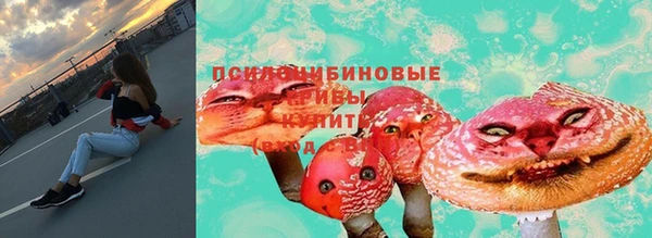 гидра Армянск