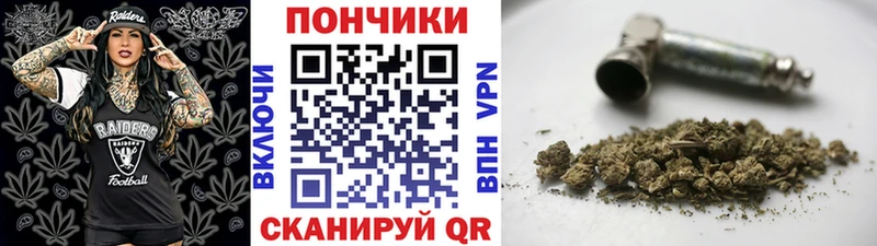 Конопля ГИДРОПОН  hydra ТОР  Любань 